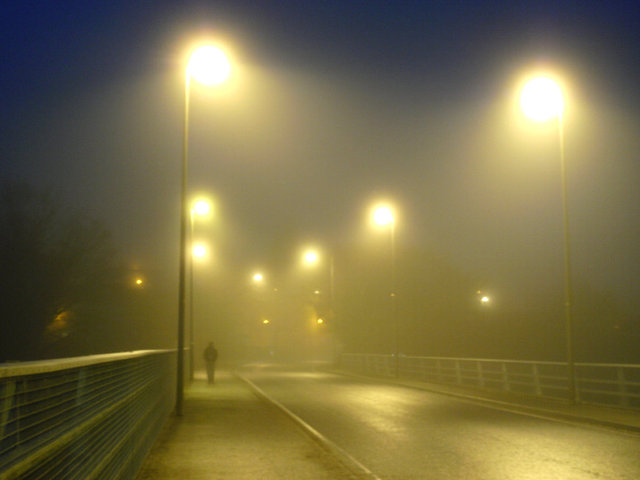 Into the Mist by Alison Gracie