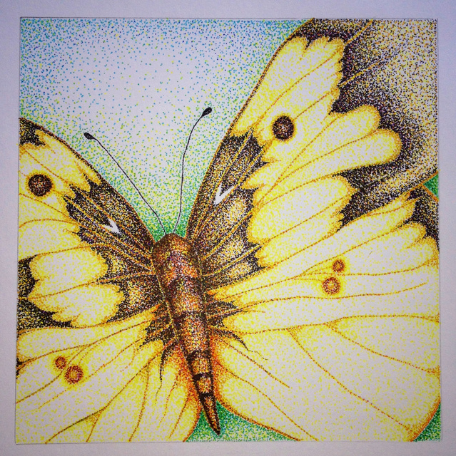 From Caterpiller to Butterfly 10"x10"