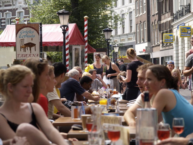 terras utrecht