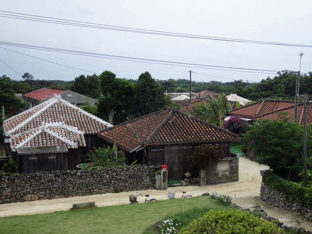 IMGP1234.JPG