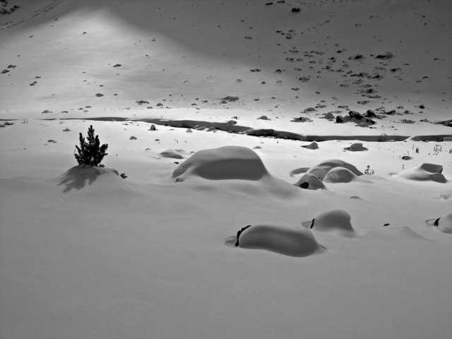 Erster Schnee 3.jpg