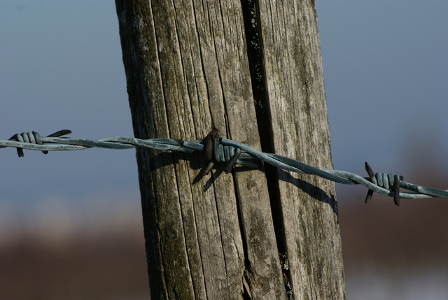 Blue Wire