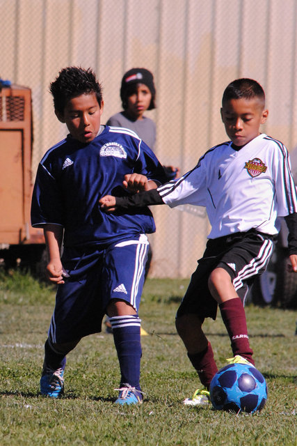 Lena_SMU2013-0936.jpg