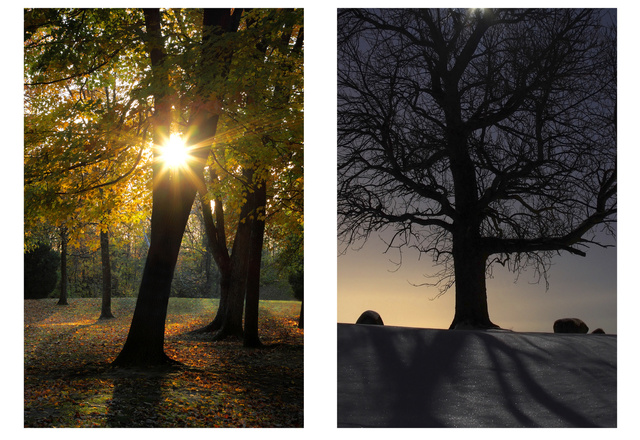 (left) Great Seal State Park, Ohio (right) Moon Light Night, Ohio