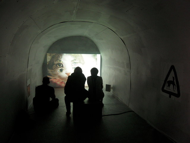 DSCN5985.JPG