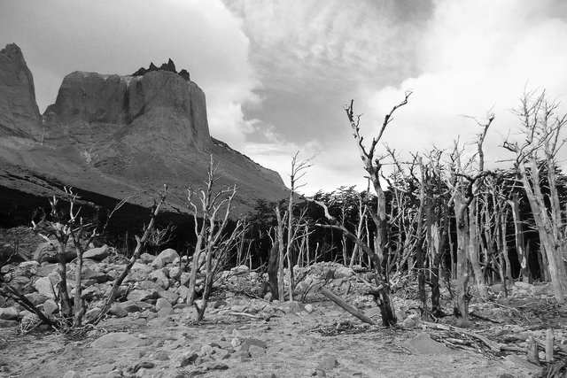 Torres del Paine B&W