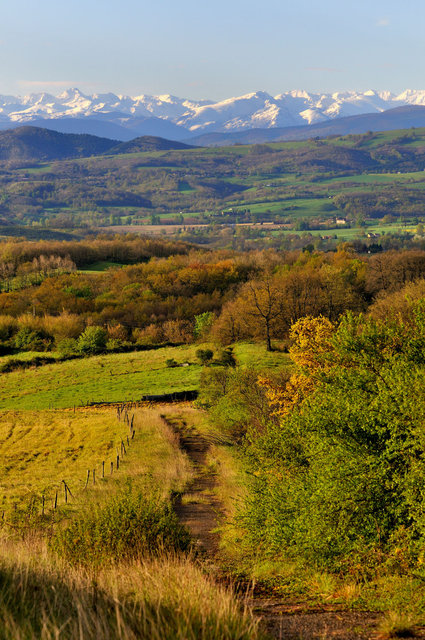 Le chemin du Piémont pyrénéen