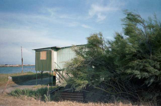 tds casina verde-wb.jpg