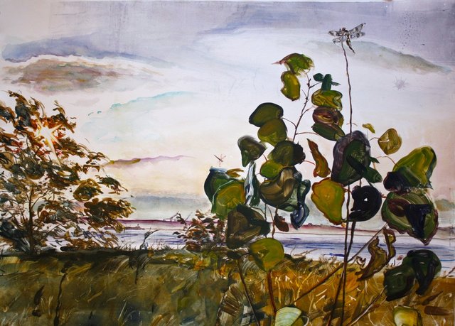 Baby Poplar 22 x 30"