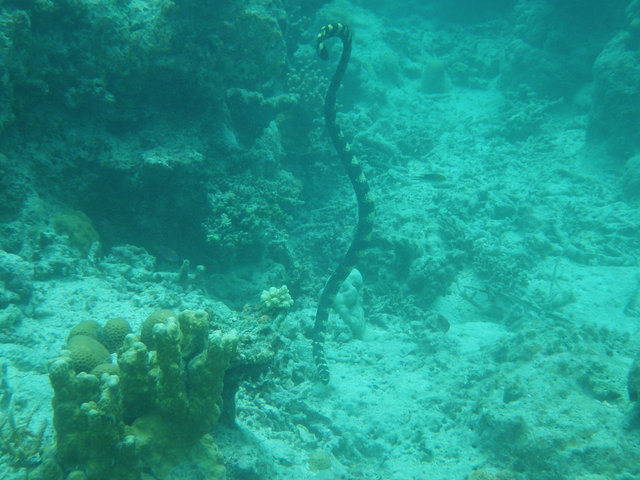 IMGP0717.JPG