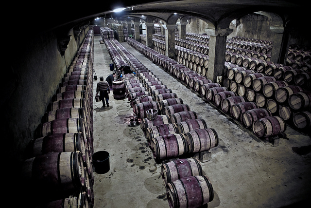 Margaux85 © Laurent Gazal.jpg