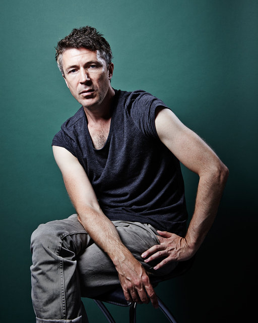 Aidan Gillen, Dublin