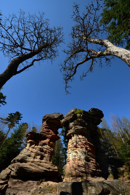 Vosges 2
