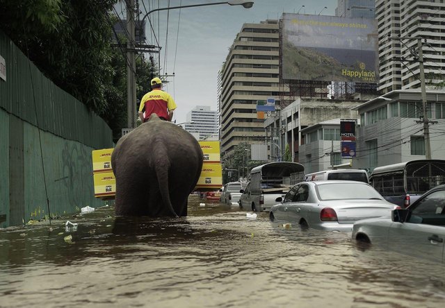 Flooded. (2 of 4)