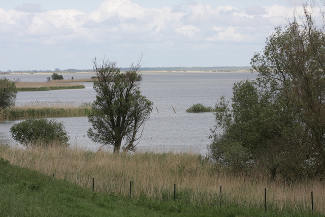 Oostvaardersplassen