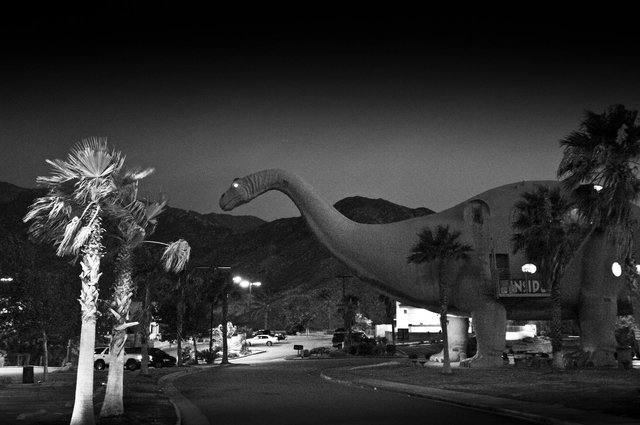 KeithSkeltonDesert (1 of 1).jpg