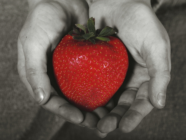 Big strawberries