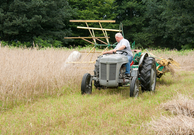 Rogge maaien bij Molen van Frans