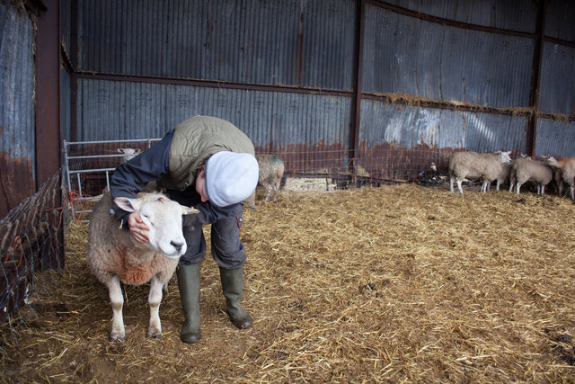 Laura Boulton, Westbury on Severn, Gloucestershire