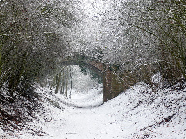 Snow on Ayot Greenway (10) VB.JPG