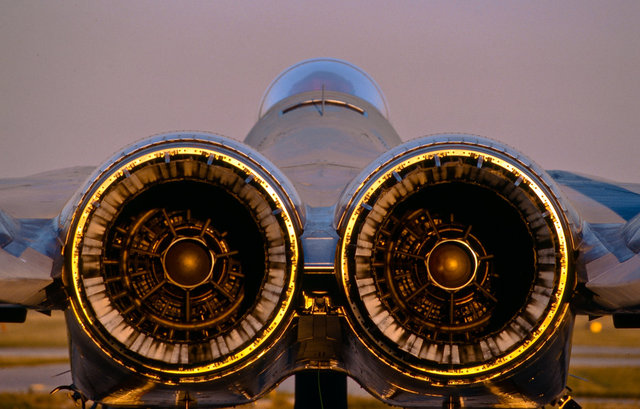 F-14 Eagle. McDonnell Douglas