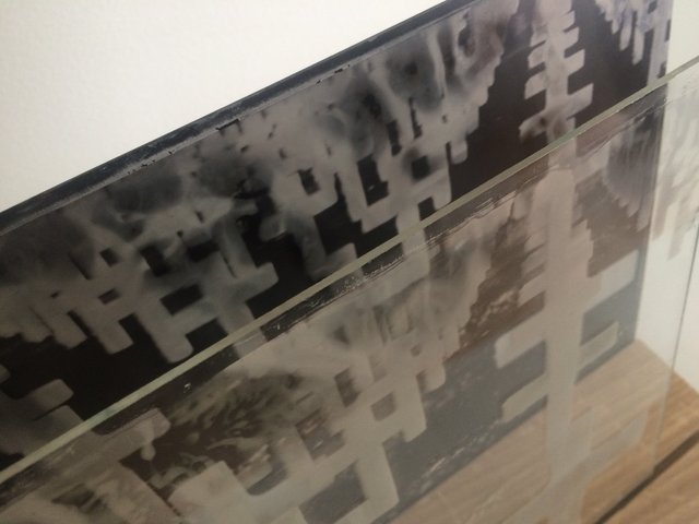 Installation-VERDUN IN MEMORIAM-collodion-018.JPG