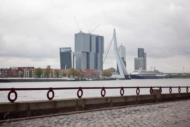 _MG_8984.jpg