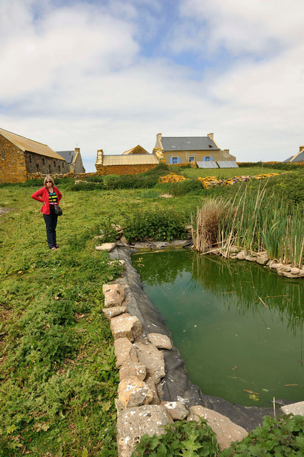 Les bassins de traitement des eaux usées