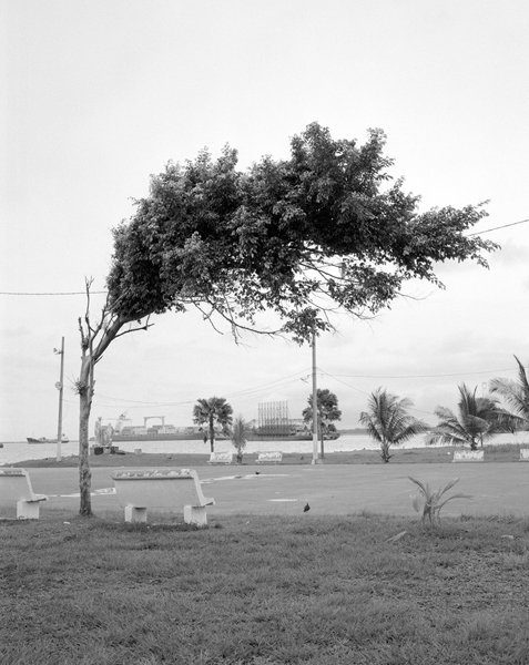 2.Arturo_soto_4.jpg