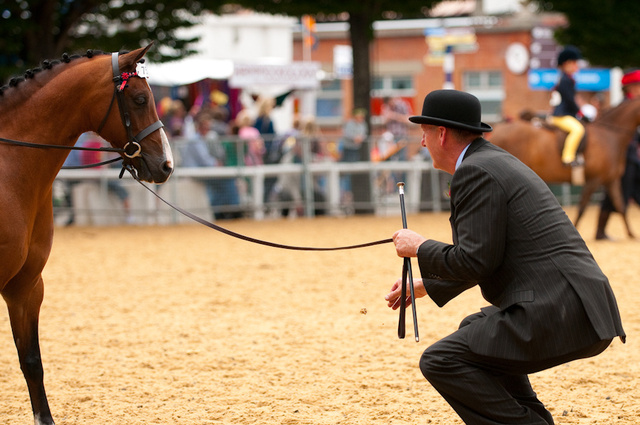 Dublin Horse Show, RDS