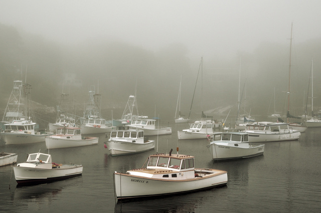 Ogunquit4.jpg
