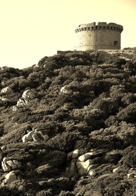 Tour de Campomoro, août 2010