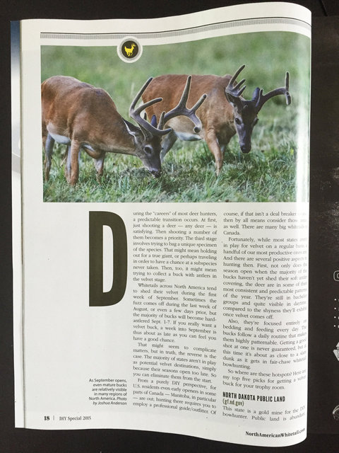North American Whitetail (inside); © August 2015