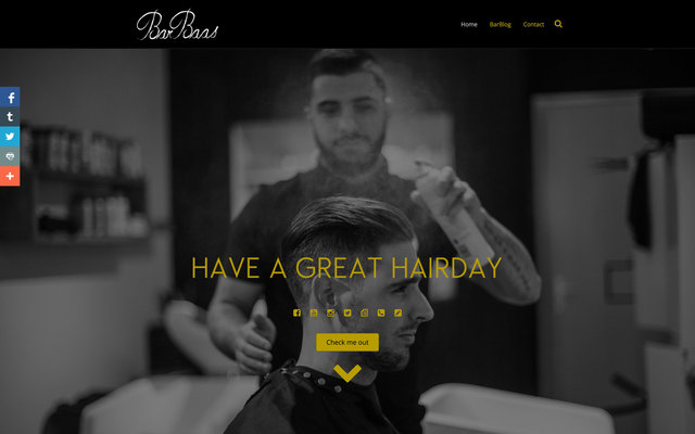 Webdesign for BarBaas