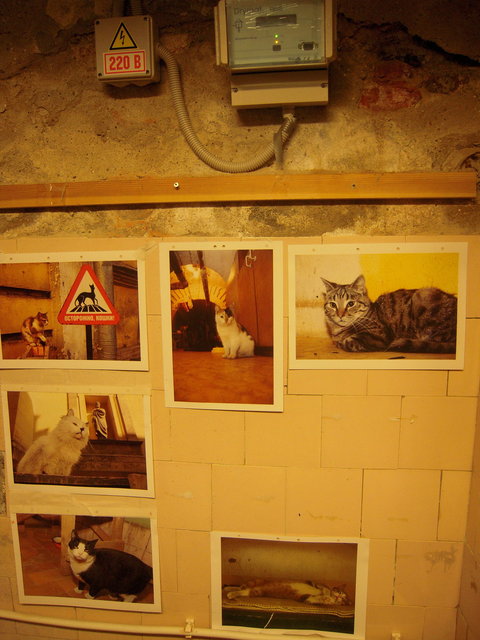 DSCN5950.JPG