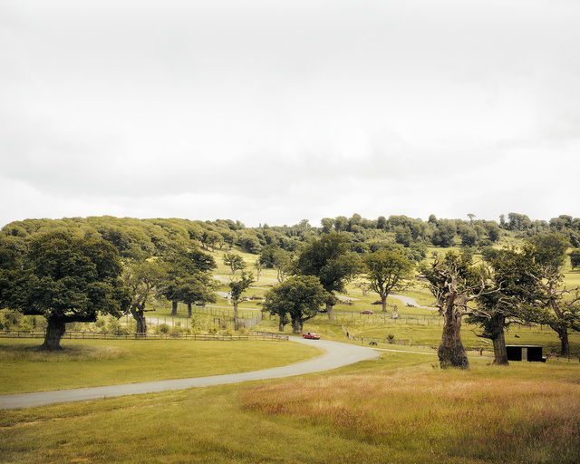 Safari Park, Longleat