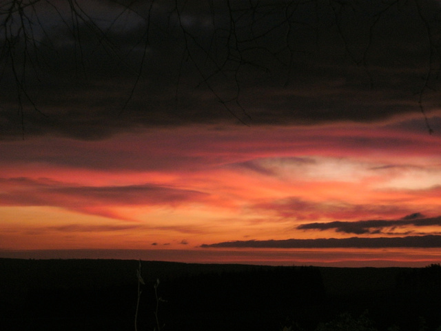 Orange Pink Sunrise by Alison Gracie