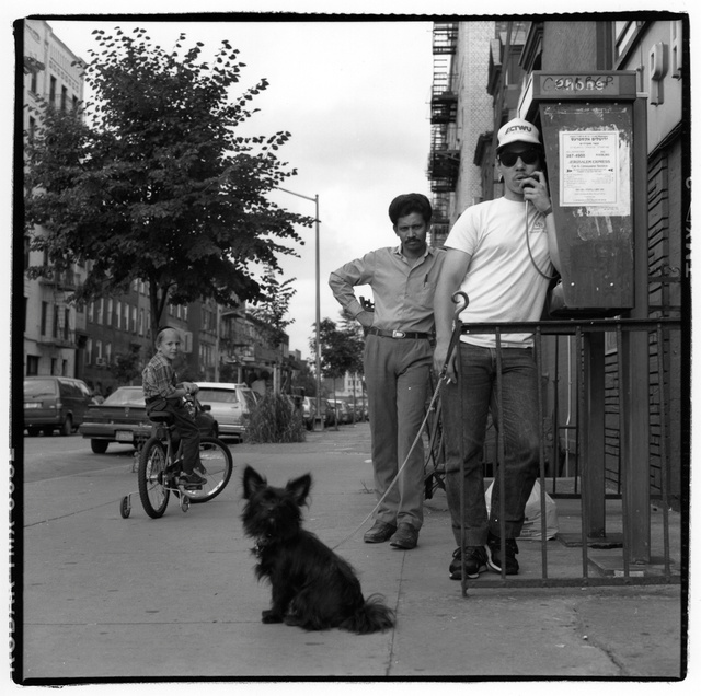 Bk., surprised dog, kid.jpg