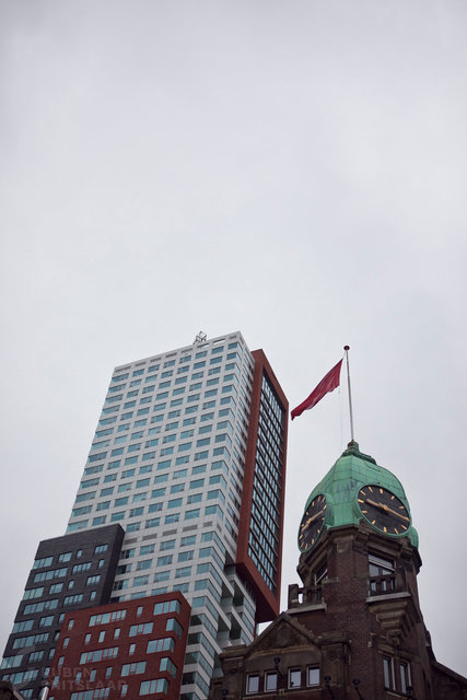 _MG_8879.jpg