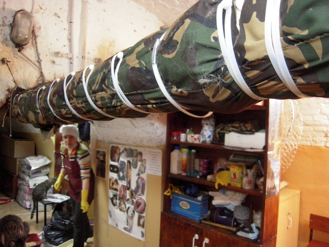 DSCN5933.JPG