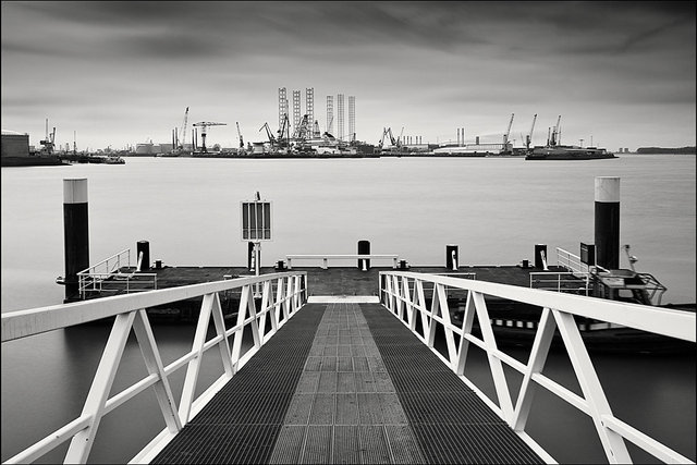 _MG_5289RAWbw.jpg
