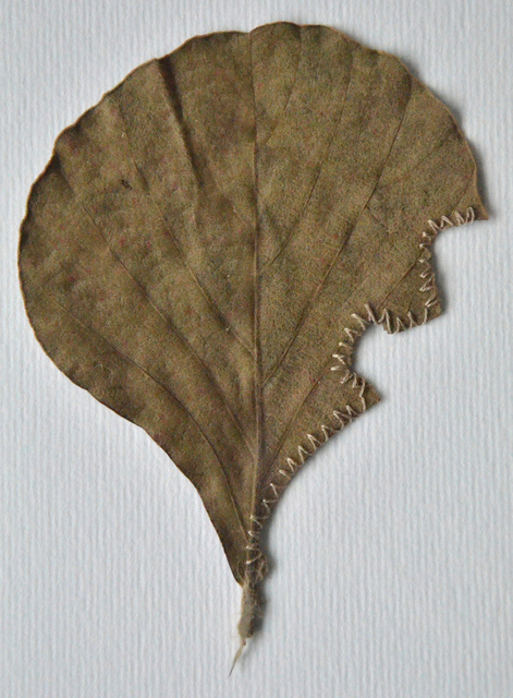 DSC_7034.jpg