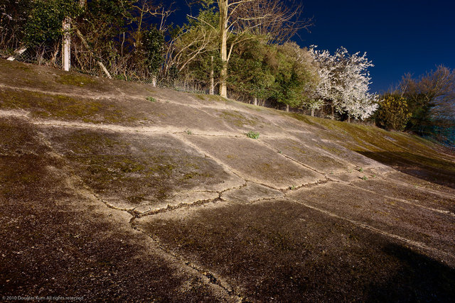 Kurn_100409_6303.jpg