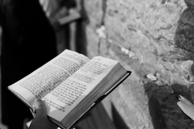 Reading the Torah