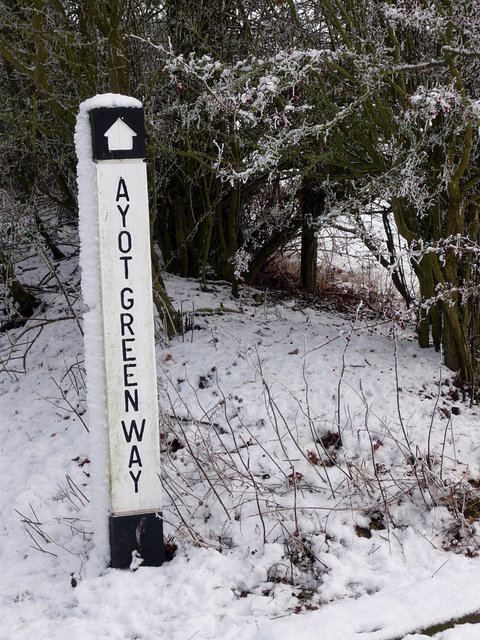 Snow on Ayot Greenway (9) VB.JPG