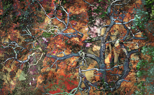 Drzewo wiadomości, vigrafia 082, 112x78