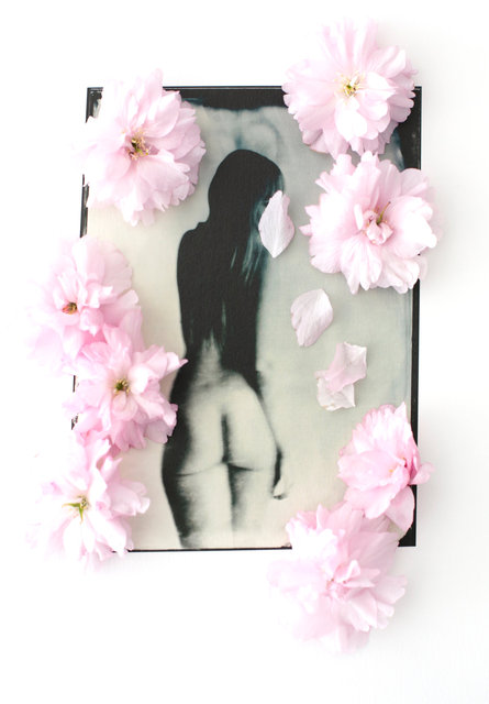 FLOWERS_1_044.JPG