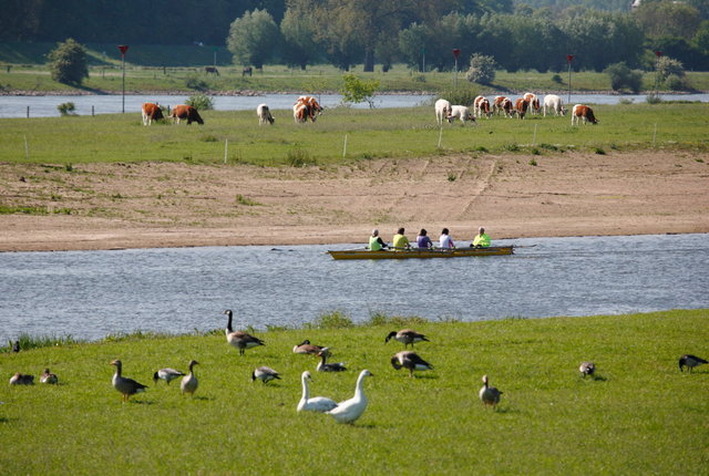 nevengeul ruimte voor de rivier - waterschappen