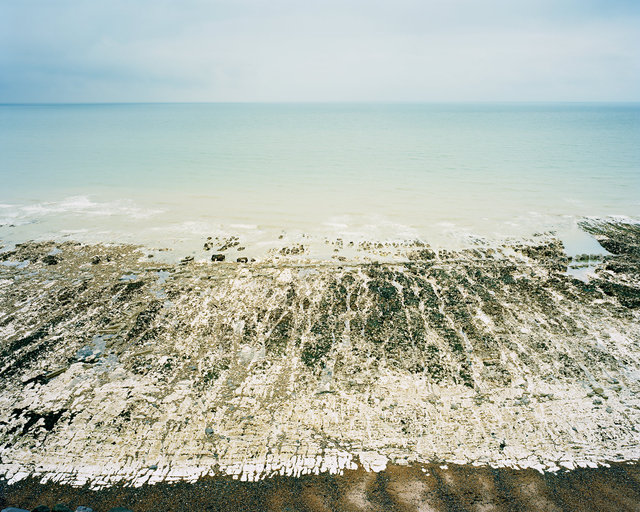 Chalk Wave-Cut Platform, East Brighton