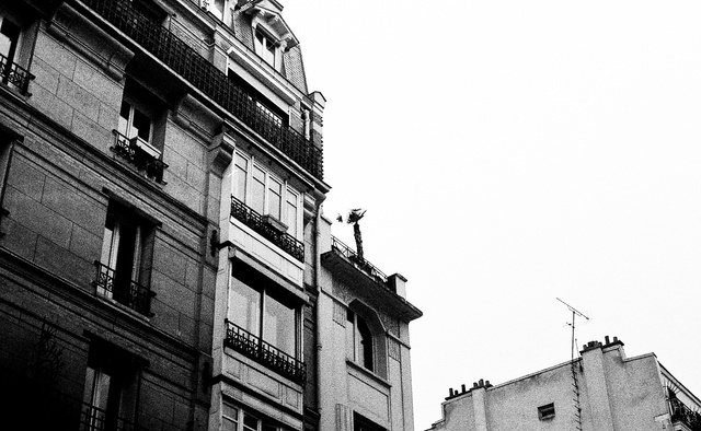 "Everything, everything seemed once-upon-a-time." Haruki Murakami